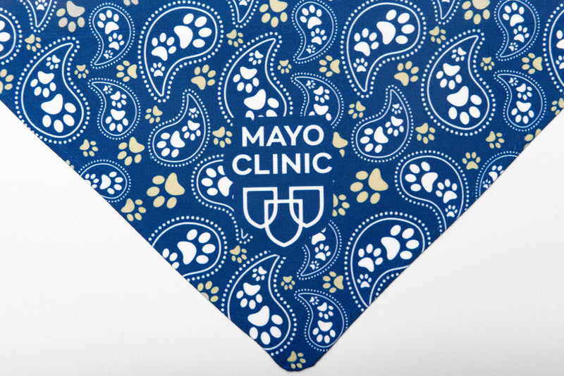 Pet Bandana