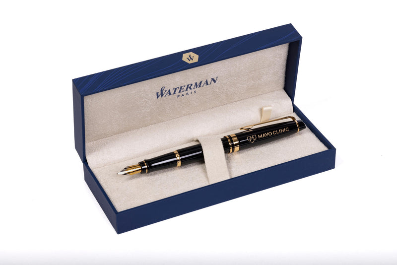 Waterman Expert Fountain Pen